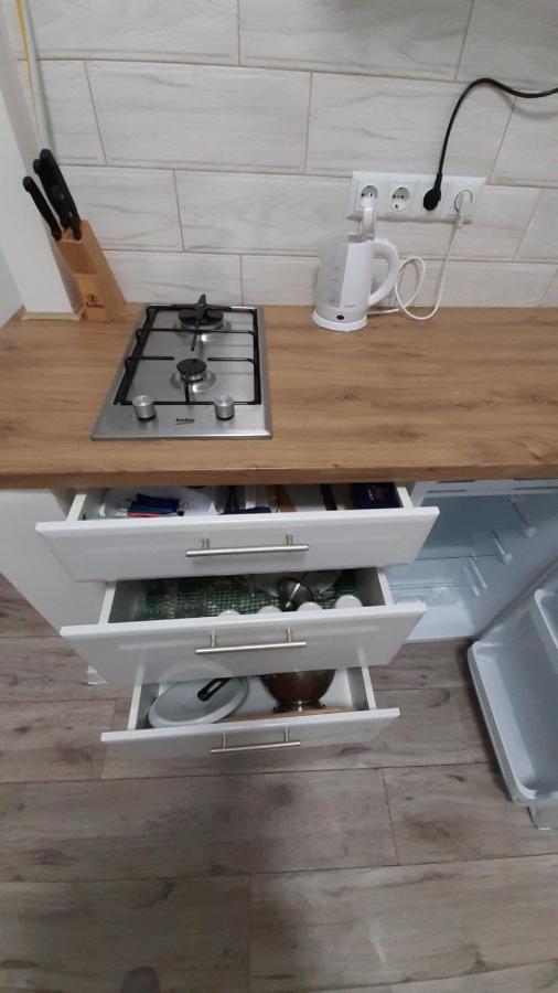 Transfer і.franka 59 Apartment Lviv
